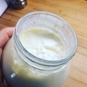 24 Hour Dairy Kefir
