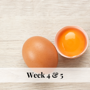 Week 4 and 5